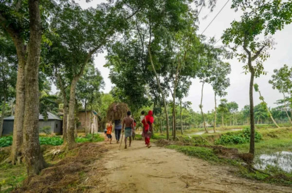 Traditional Village Tour - Image 4