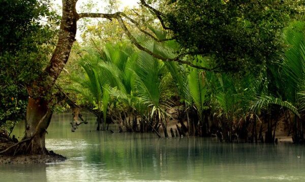 Sundarbans Adventure  – 3 to 5 Day Trip - Image 3